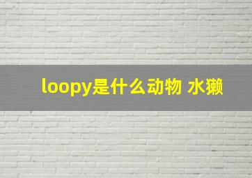 loopy是什么动物 水獭